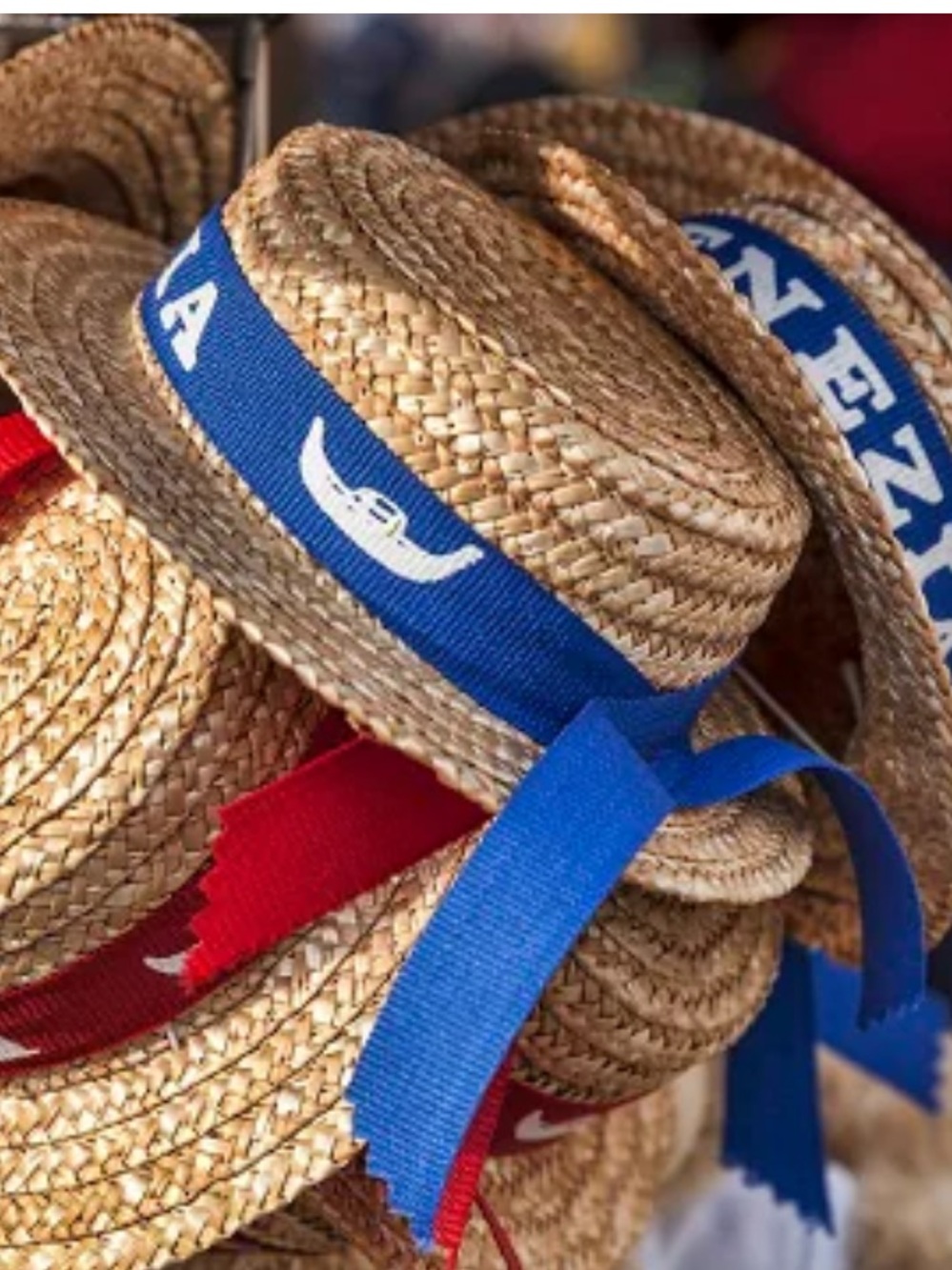 VENEZIA Straw Hat Royal Blue White Ribbon